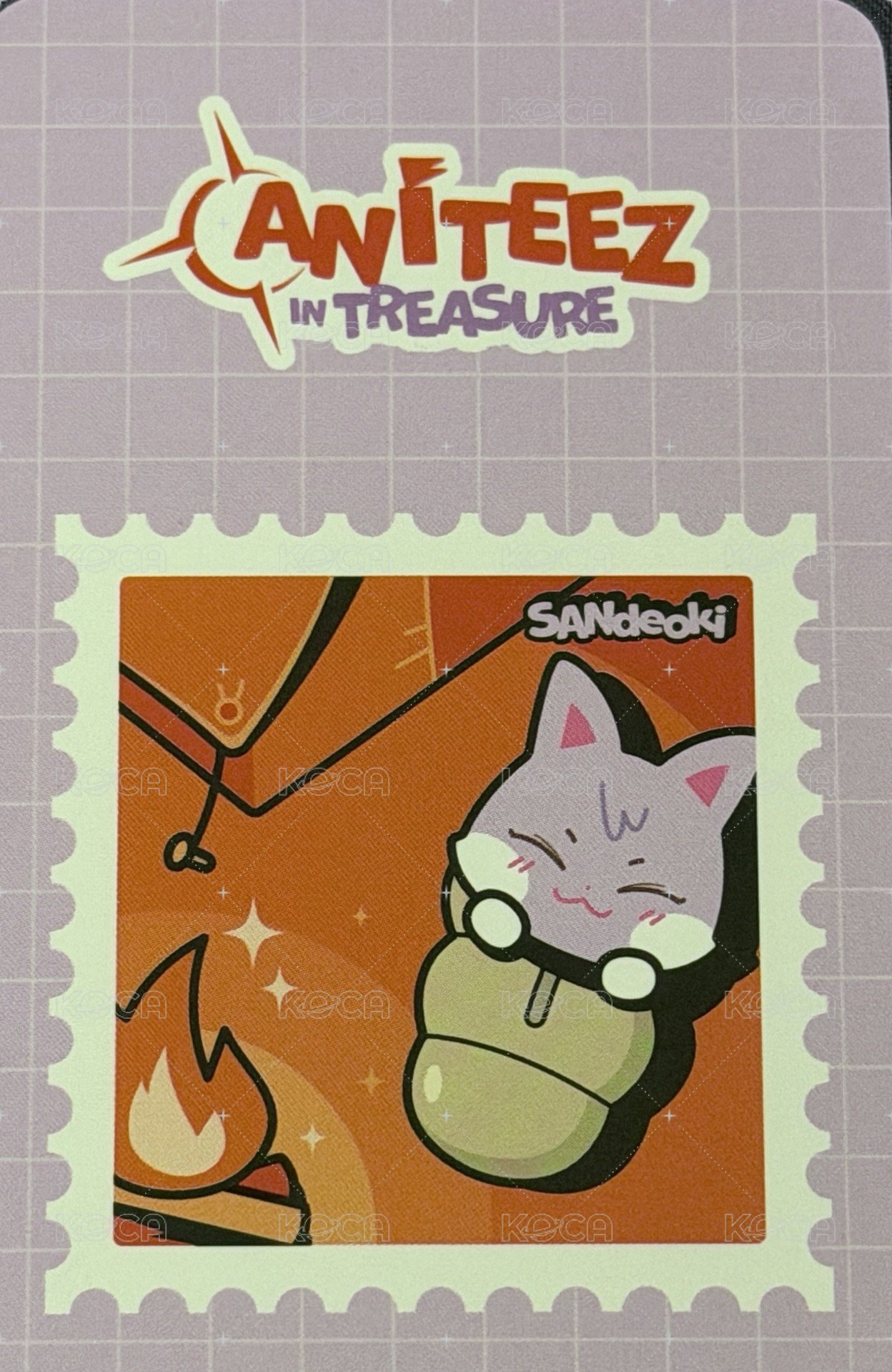ANITEEZ IN TREASURE 周邊卡 MESH POUCH 背面