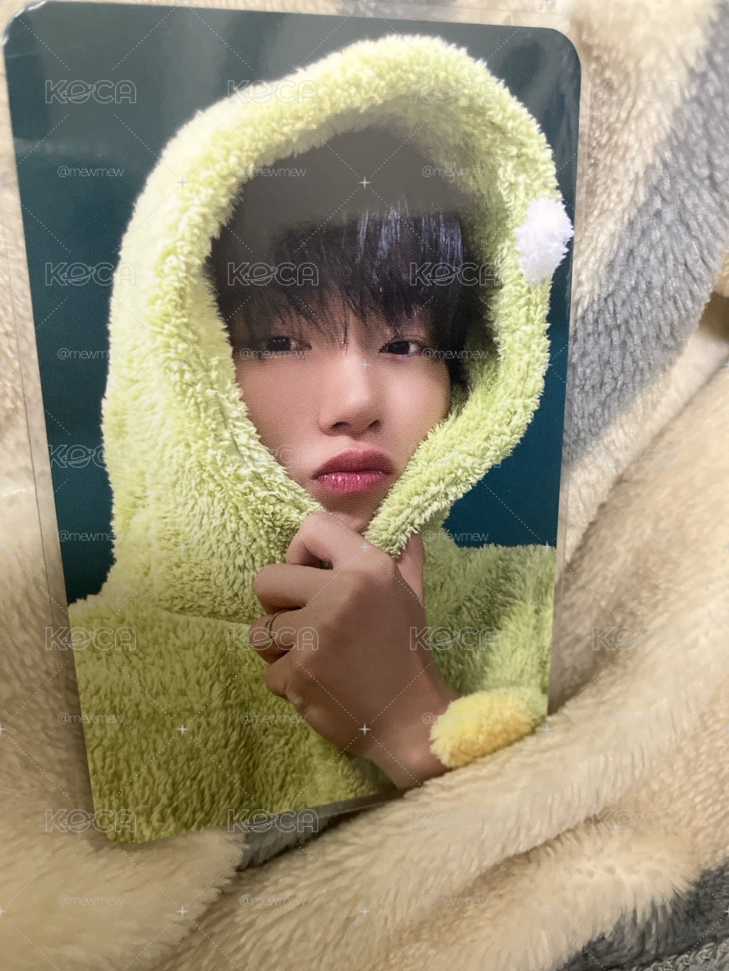 呆呢搜兒崔傘咪🦖