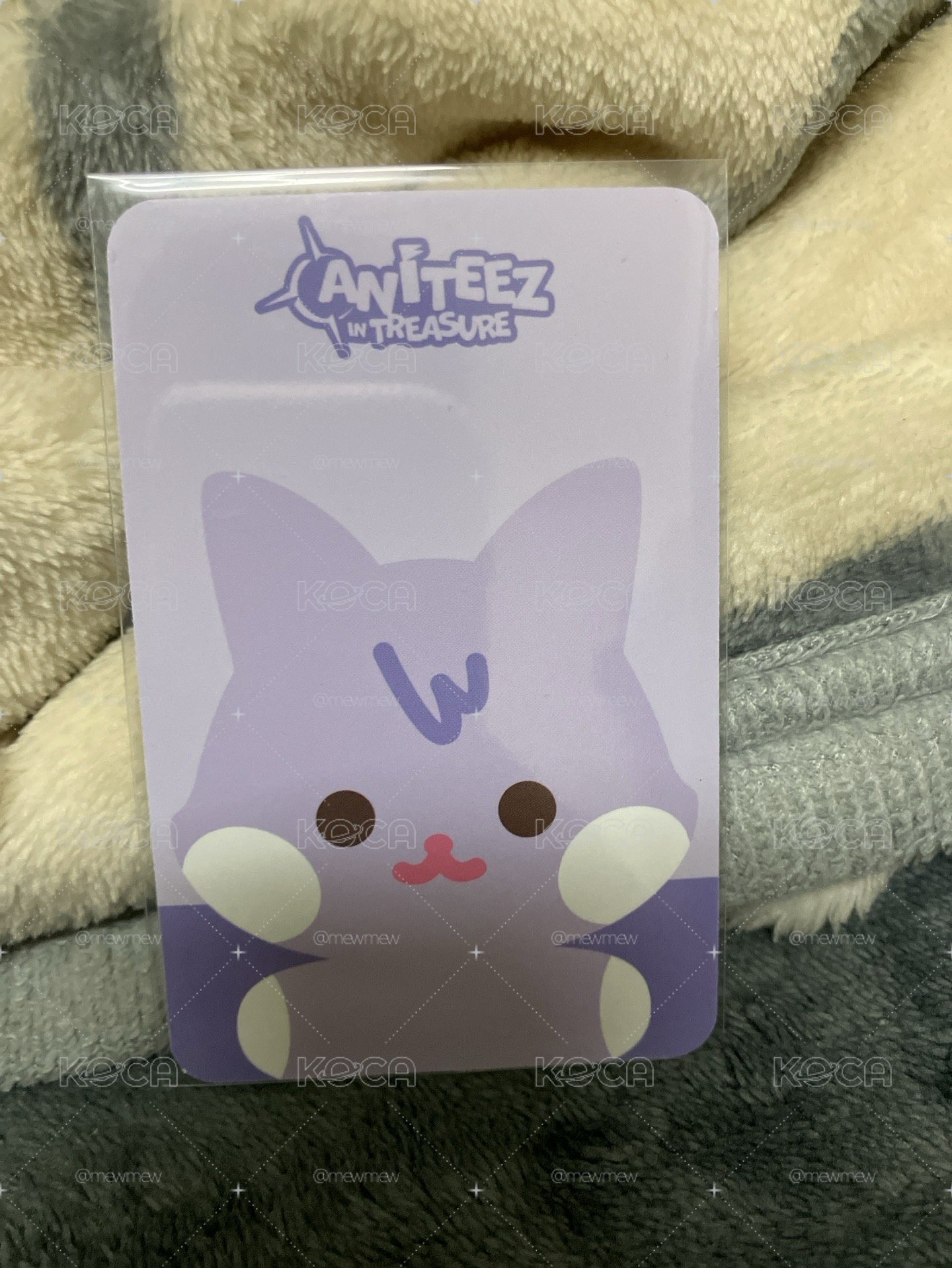 肥嫩呆萌的傘德豆豆眼娃