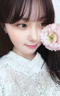 迷四 專輯卡 電子專