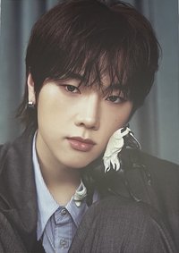 2026 年曆 明信片 