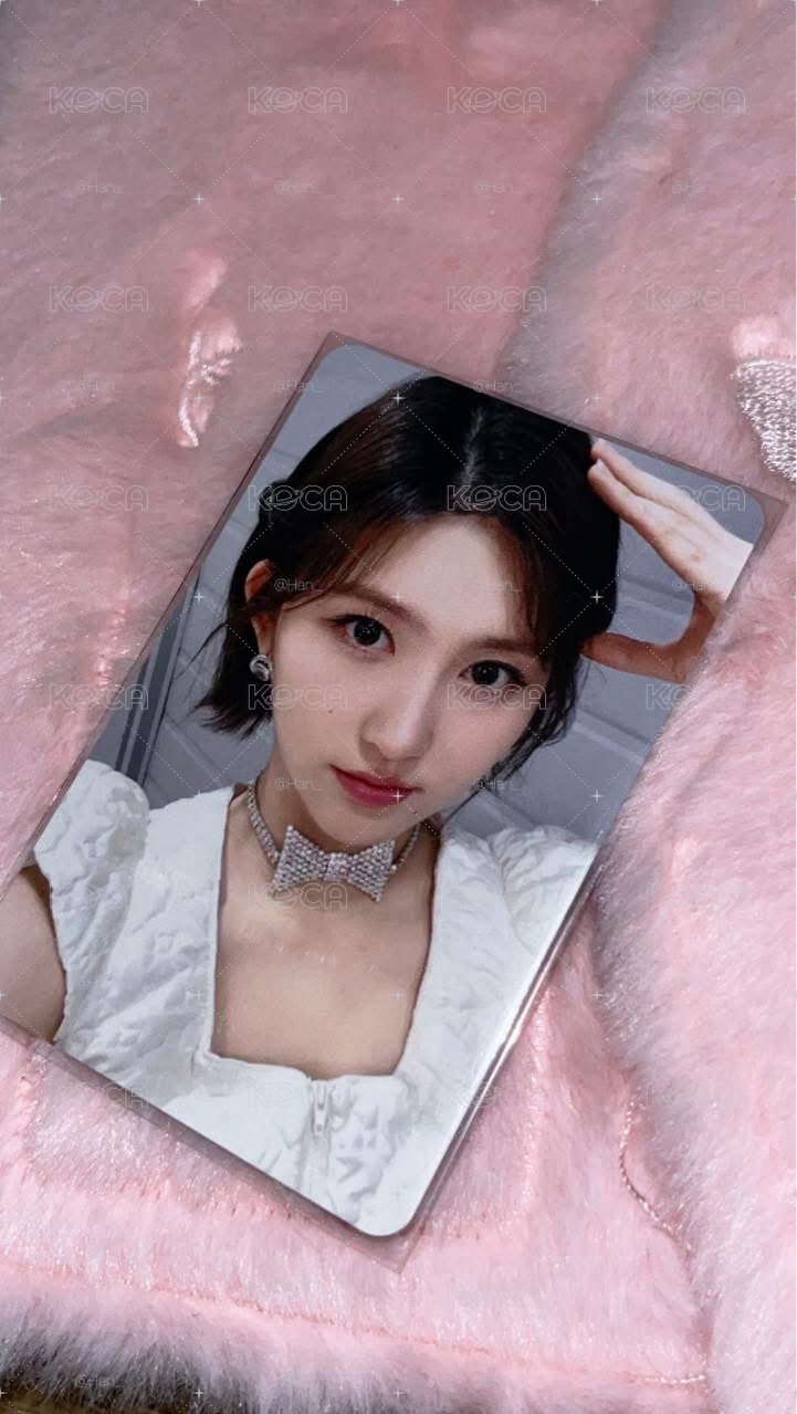 玉桂狗特典秋天