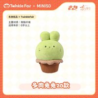 名創 20cm 娃娃 多肉兔兔
