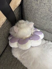 よく