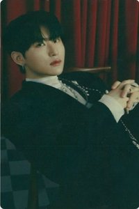 世巡 MASTERPIECE 隨機卡 官拍 ver.