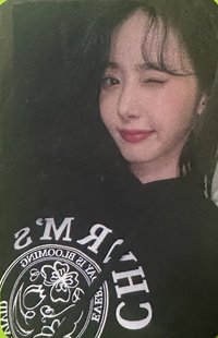 代言卡 charms代言卡飛