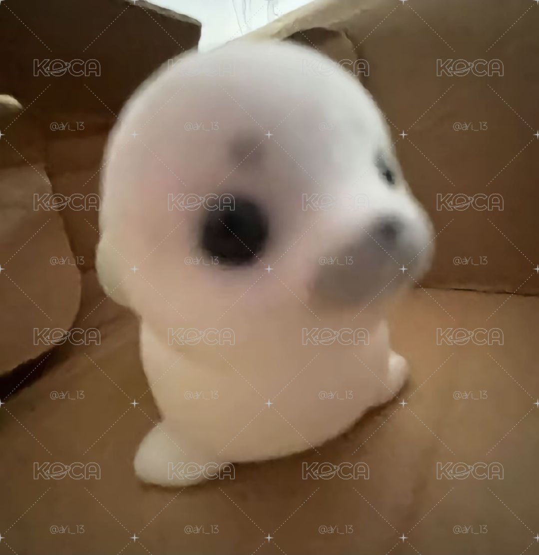 客訂賣場