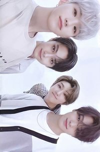 21‘克拉島 周邊卡 手提包卡