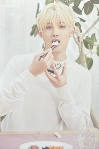 2026年曆 A版 明信片 