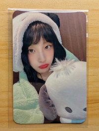 AM1.0 LD帕恰狗|琦