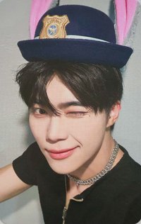 正規一 wm 簽售卡 動物方程式 ver.