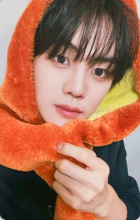 正規一 wm 簽售卡 動物方程式 ver.