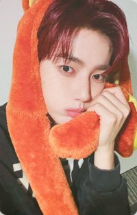 正規一 wm 簽售卡 動物方程式 ver.