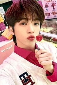 23’年曆 新那拉 特典卡 