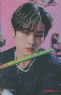 THE SOUND 塔店 特典卡 