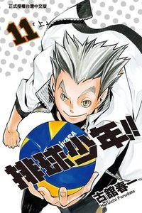 書籍 漫畫 11