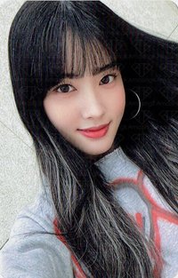 泰迪熊 ms 3.0 簽售卡 