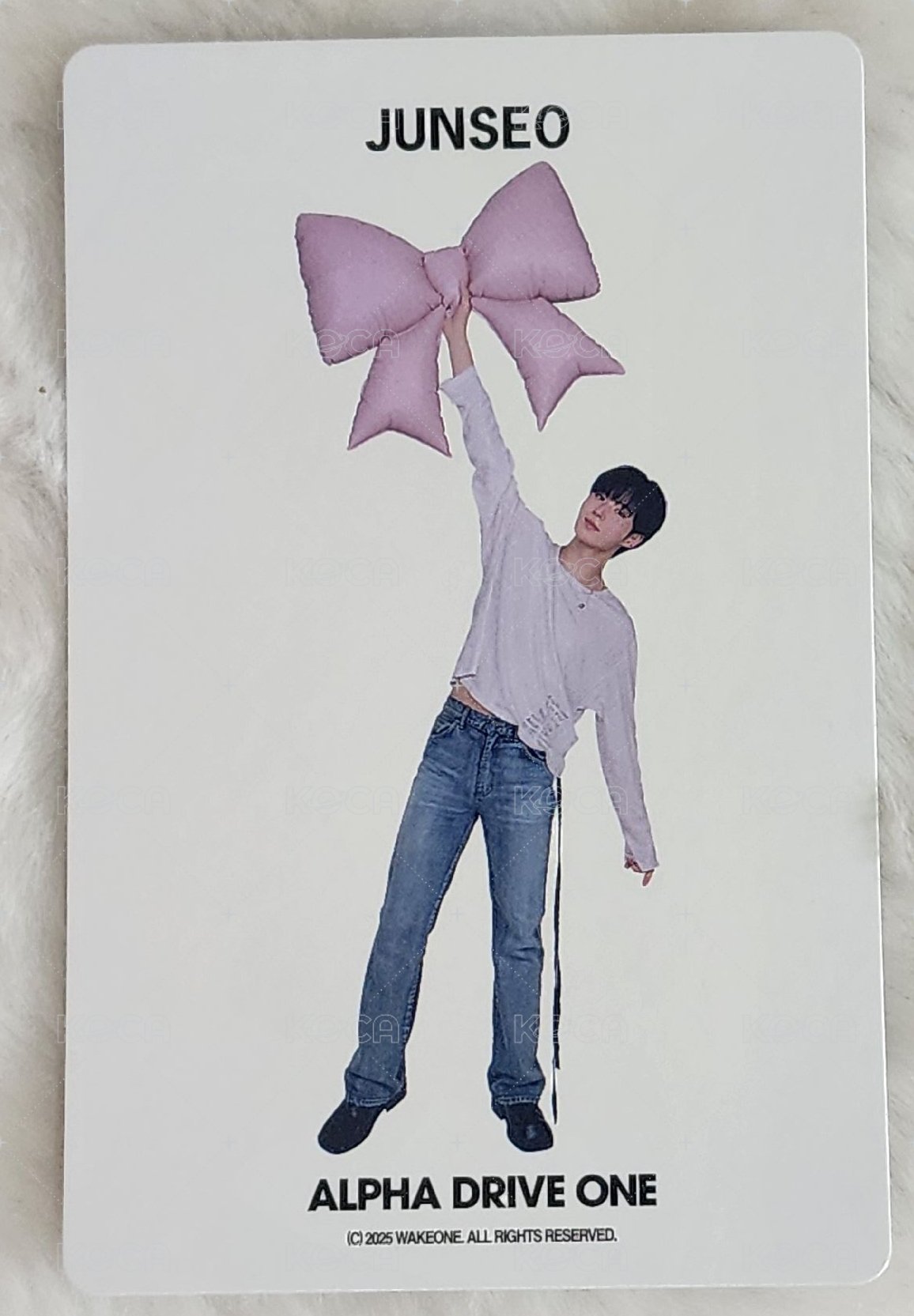 會員禮卡 一期會員 背面