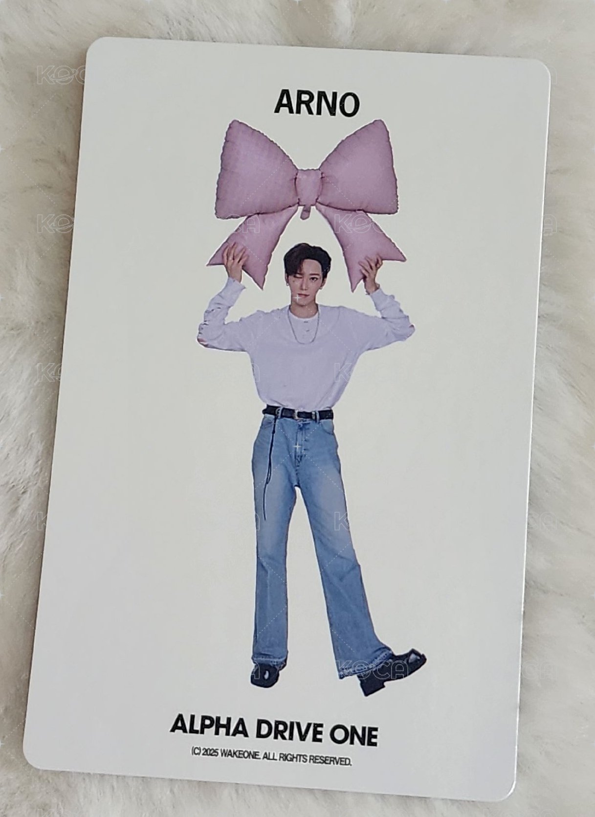 會員禮卡 一期會員 背面