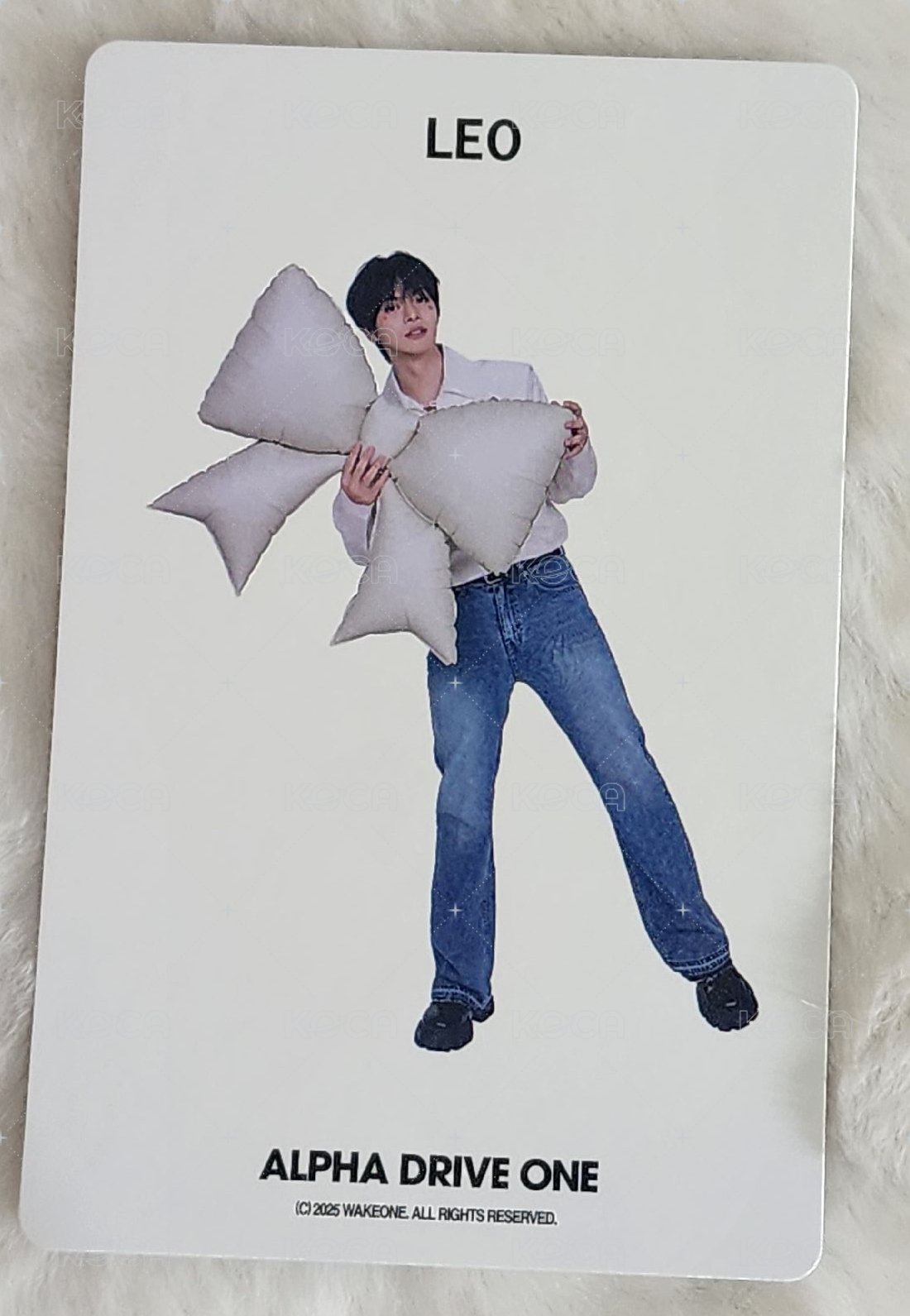 會員禮卡 一期會員 背面