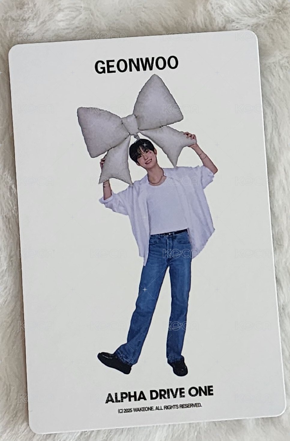 會員禮卡 一期會員 背面