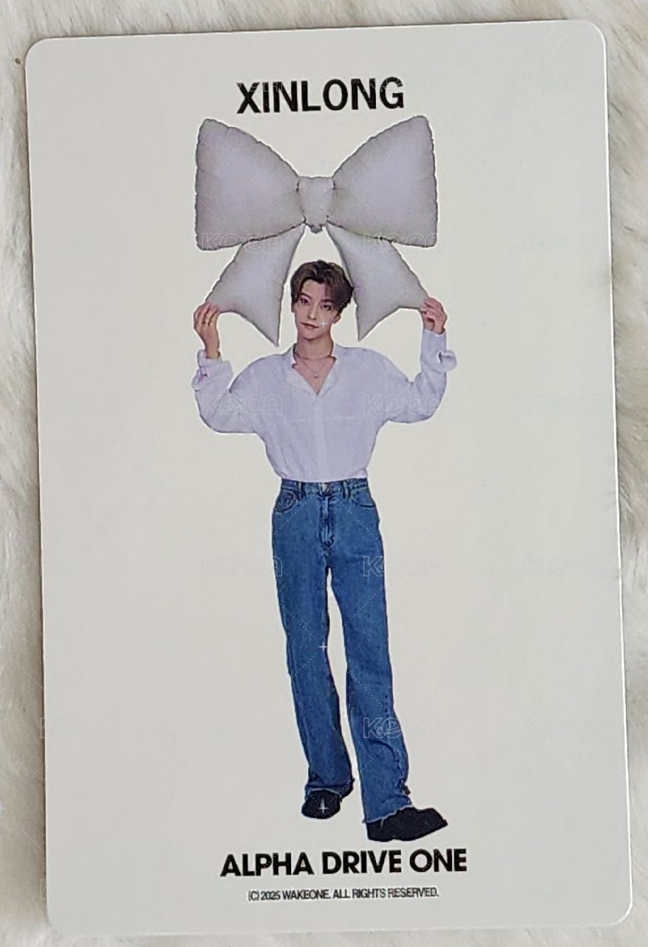 會員禮卡 一期會員 背面