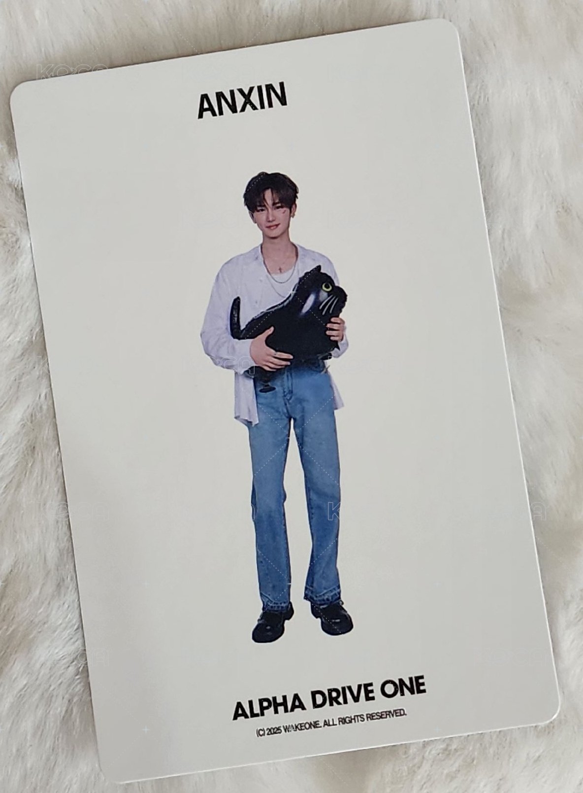 會員禮卡 一期會員 背面