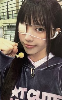 NOT CUTE ANYMORE dingo 特典卡 