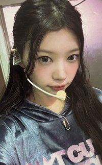 NOT CUTE ANYMORE dingo 特典卡 