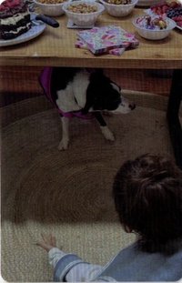 正規一 電子專Chao ver. 專輯卡 桌子底下的Jiwoo 