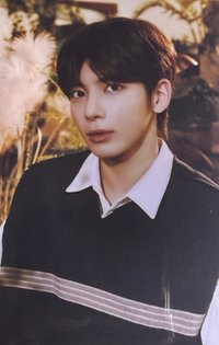 24’巡迴 日巡 隨機卡 