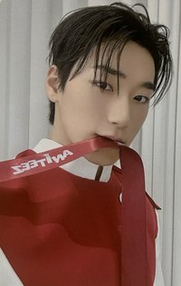 ANITEEZ IN THE CALLING 周邊卡 HOODIE