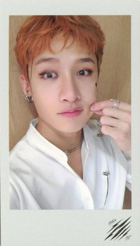 Scars 專輯卡 FC盤