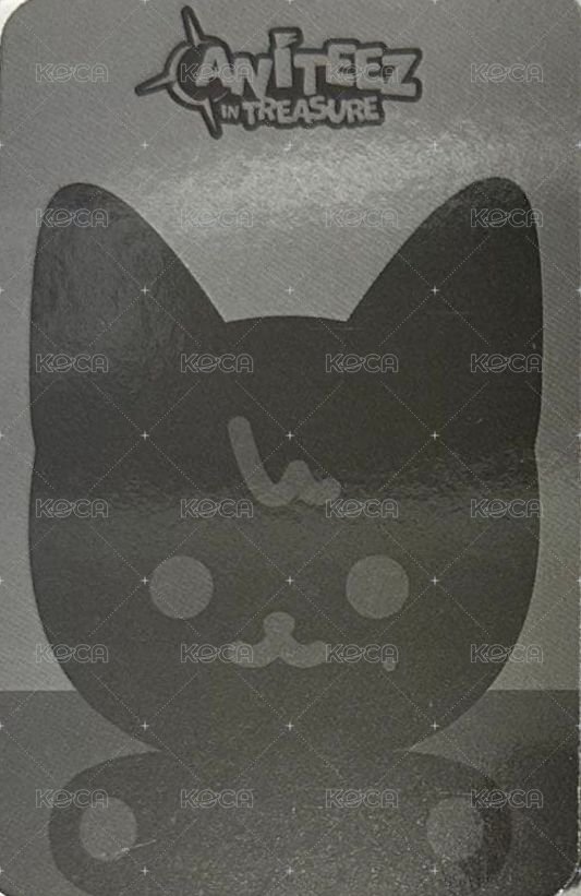 ANITEEZ IN TREASURE 周邊卡 FLAT FUR PLUSH 背面