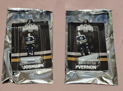 2025 home 壓克力吊飾