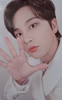 Towards the Light 入場卡 / 場限卡 2025 SAILOR ver.