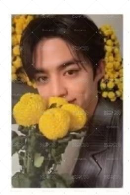 捧花哲