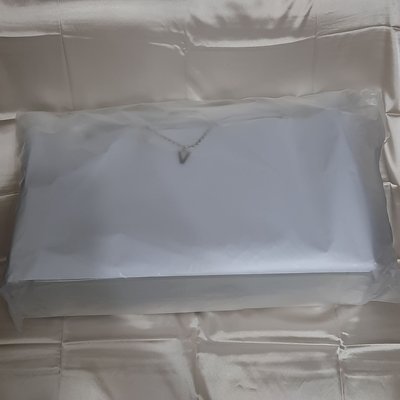 日巡痛包（可北捷面交）