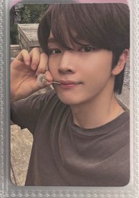 15-Riizing蒲公英燦