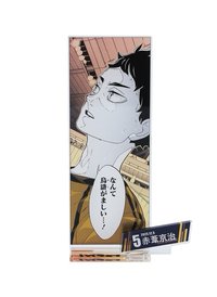 JS生日 2025 立牌 
