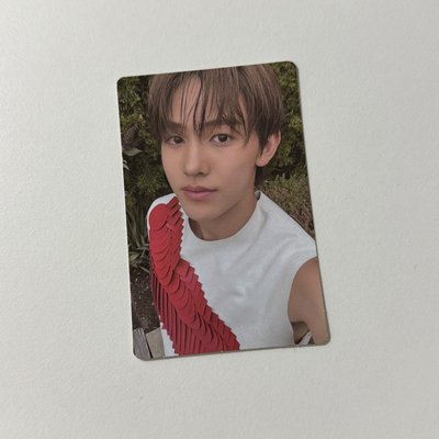 cortis nara 魚眼玹/美專玹