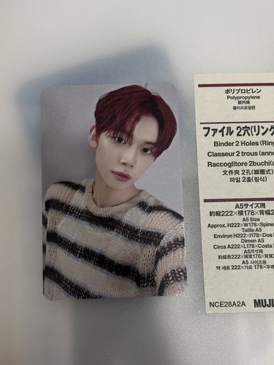 🩵數星星 上海 竣（中背/含綁）