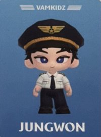 機長主題 遊戲卡 