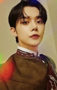 24’巡迴 日巡 數位版 演唱會 DVD / CD 卡 