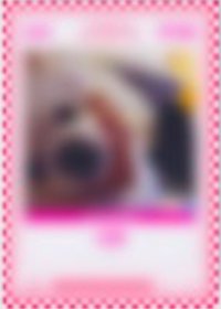 四期會員禮 會員禮卡 