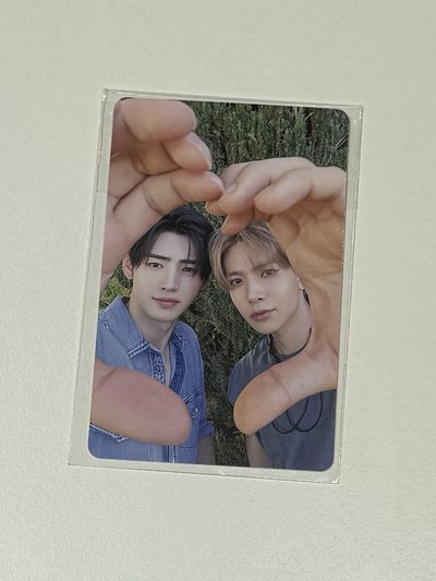 d社wvs特典 羲訓 花期