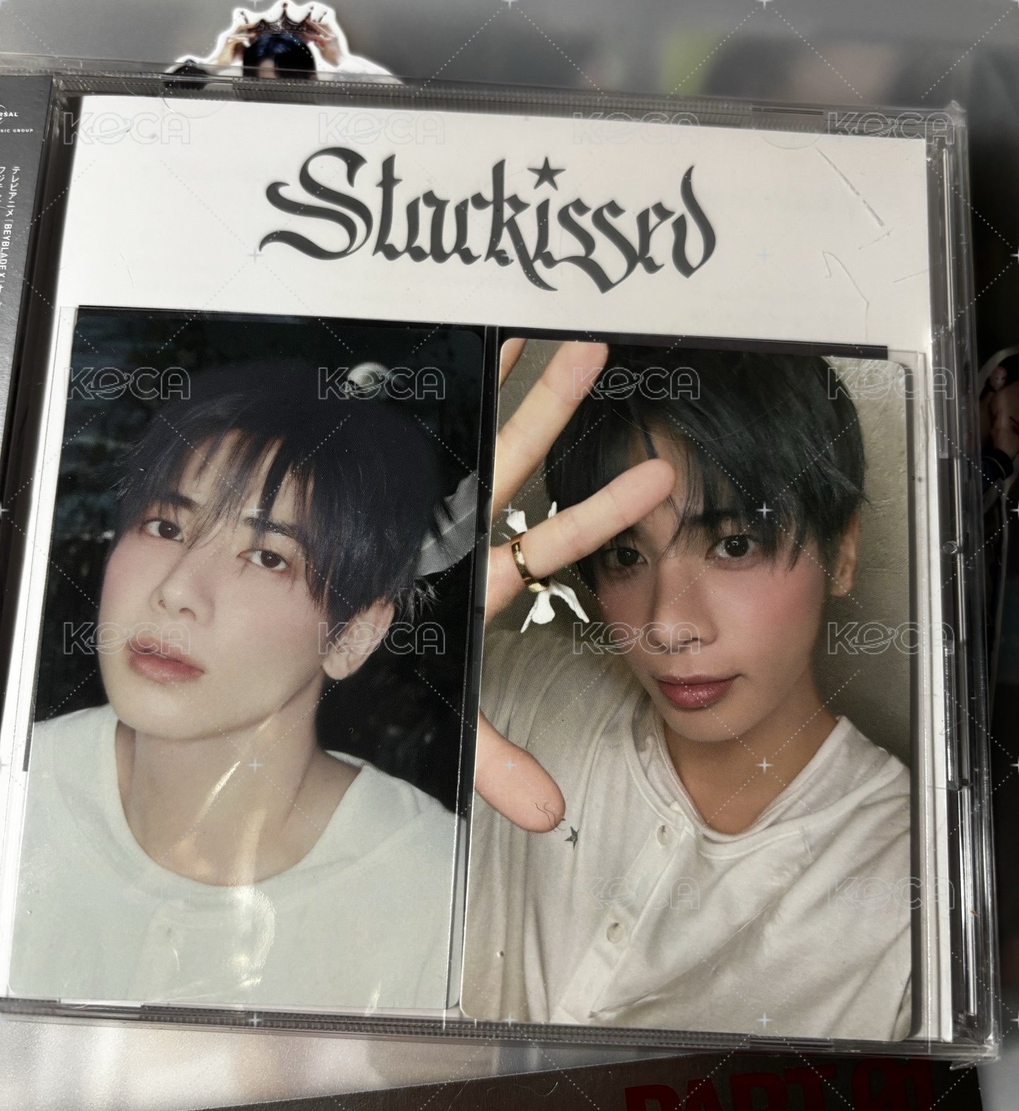 普通盤-顯