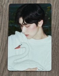 彬隨機卡（天鵝）