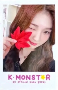 VV km 241208 簽售卡 台北簽售