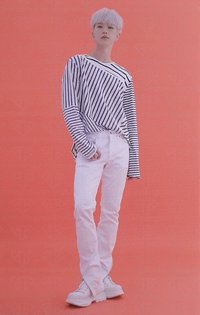 21‘克拉島 隨機卡 